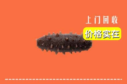 绥化市兰西回收海参
