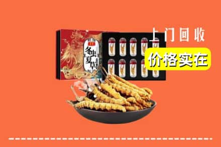 绥化市兰西回收虫草